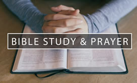 Bible Study & Prayer Sessions